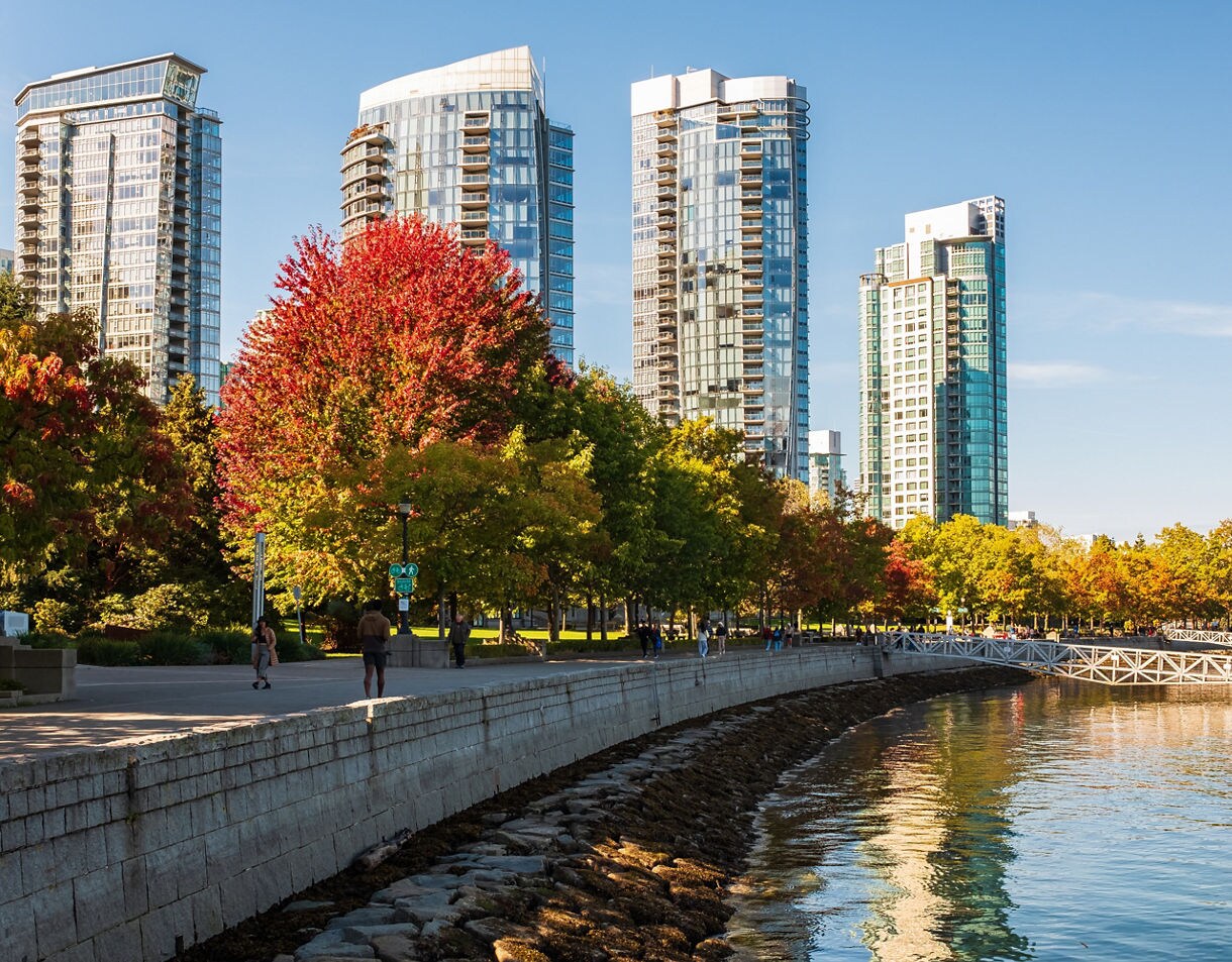 Waterfront path lined with fall foliage and modern high-rise buildings reflecting in calm harbor water.