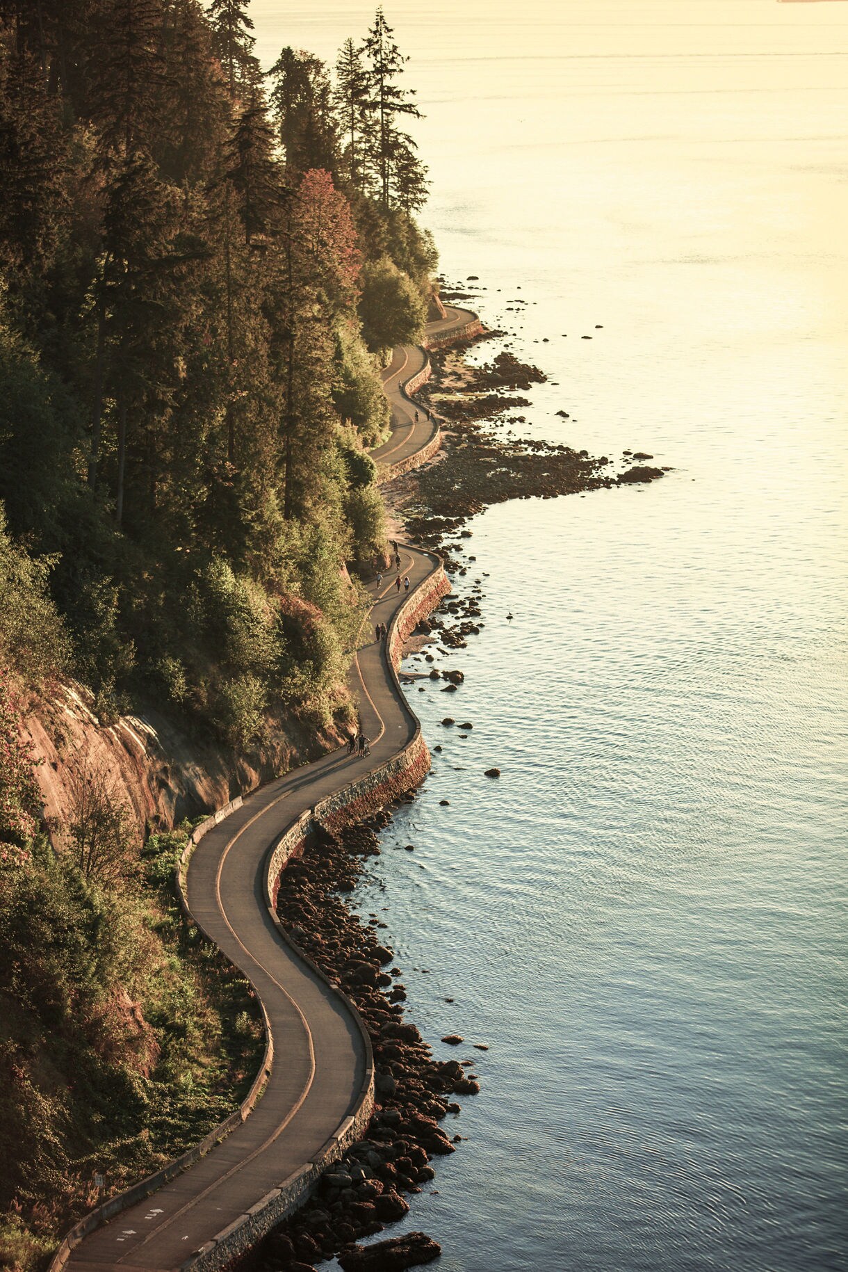 Aerial view of the Stanley Park Seawall in Vancouver with a curving waterfront path, rocky shoreline, calm ocean water and dense evergreen trees lit by warm evening light.