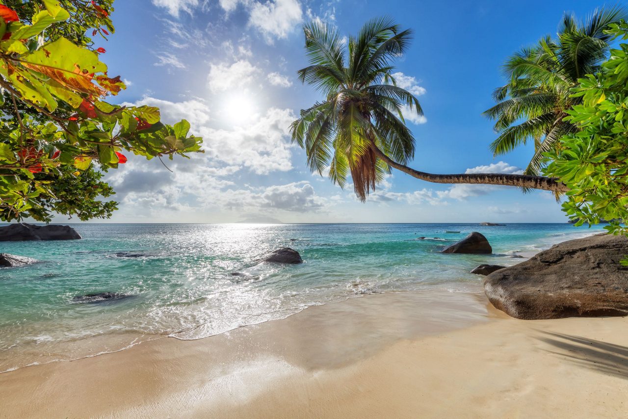 Idyllic beach scene with a curved palm tree in the foreground, white sand, turquoise ocean water, large granite rocks, and tropical vegetation under a blue sky with white clouds.
