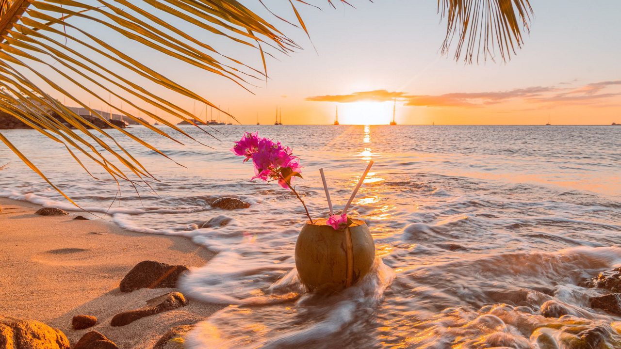 Coconut drink with pink flowers and straws on sandy beach at sunset with palm fronds overhead, gentle waves, and sailboats on horizon in Antigua.