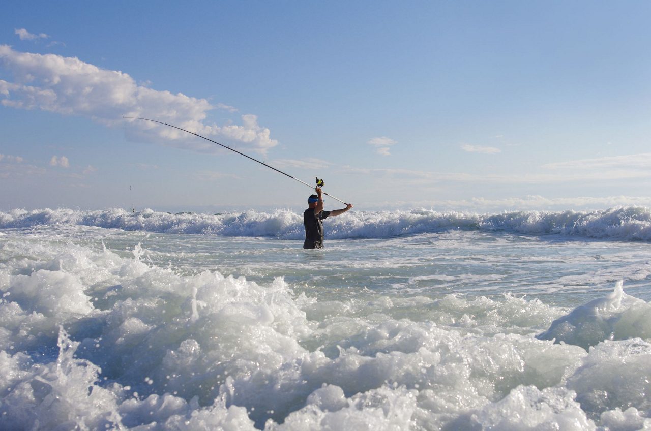 Surf Fishing