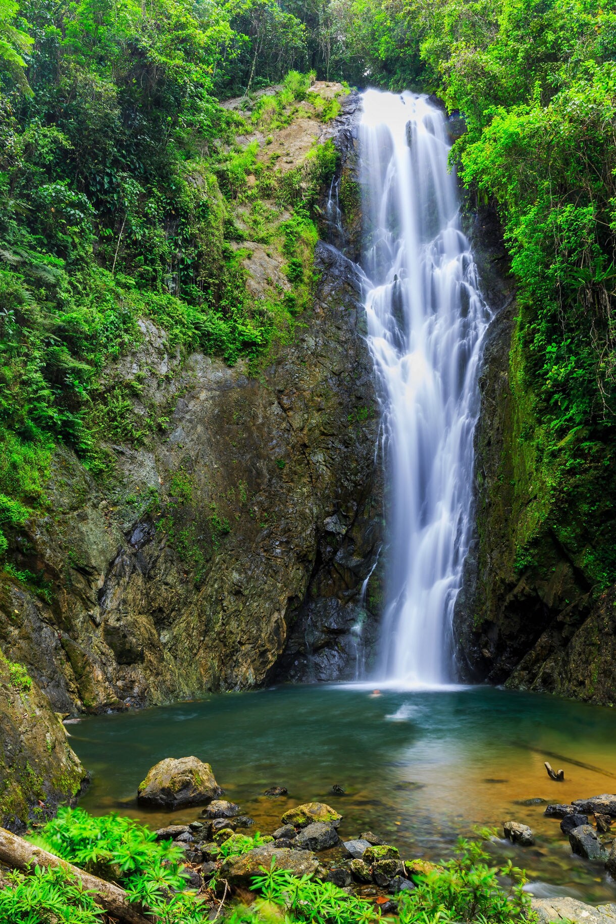 A tall, narrow waterfall cascading down a rocky cliff surrounded by dense green rainforest, flowing into a calm turquoise pool at the base.