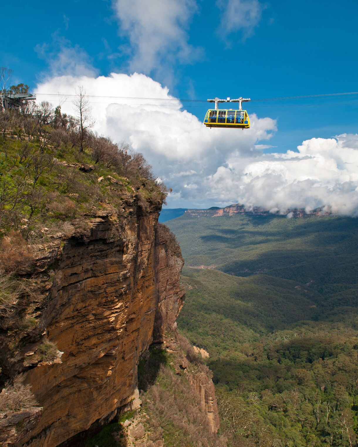 Vertical view of a bright yellow cable car suspended over the Blue Mountains, with a steep rocky cliff on the left and vast forested valleys stretching into the distance under a blue sky with large white clouds.
