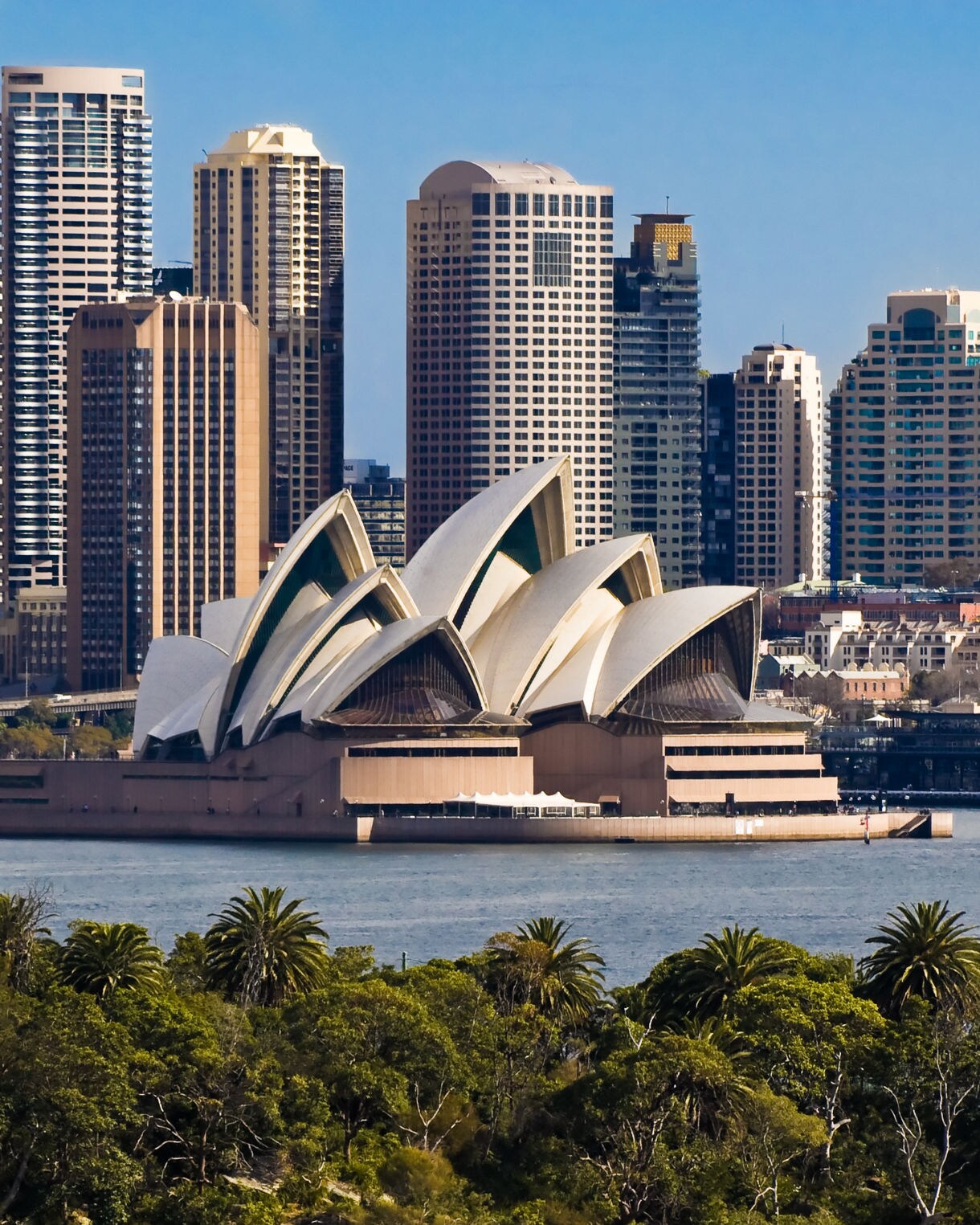 Panoramic view of Sydney Harbor showing the distinctive white shell-shaped Opera House in the center, surrounded by water with small boats, backed by tall glass and steel skyscrapers, with tropical vegetation framing the scene.