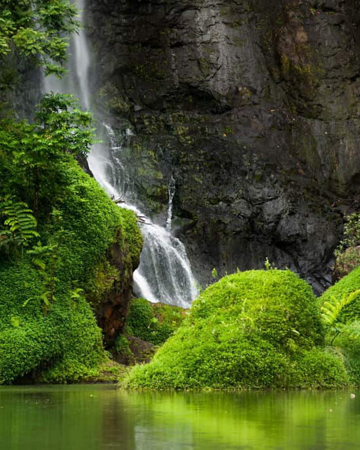 Insider's Travel Guide to Tahiti: 5 Tips for Traveling in Tahiti