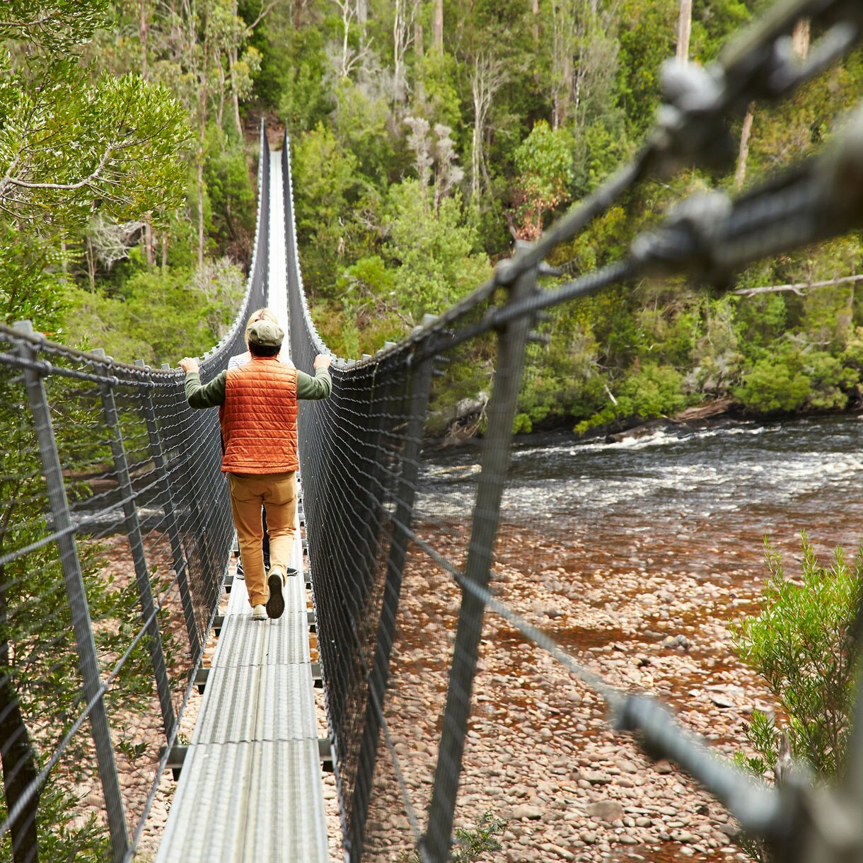 tahune forest hobart tasmania man walking airwalk bridge