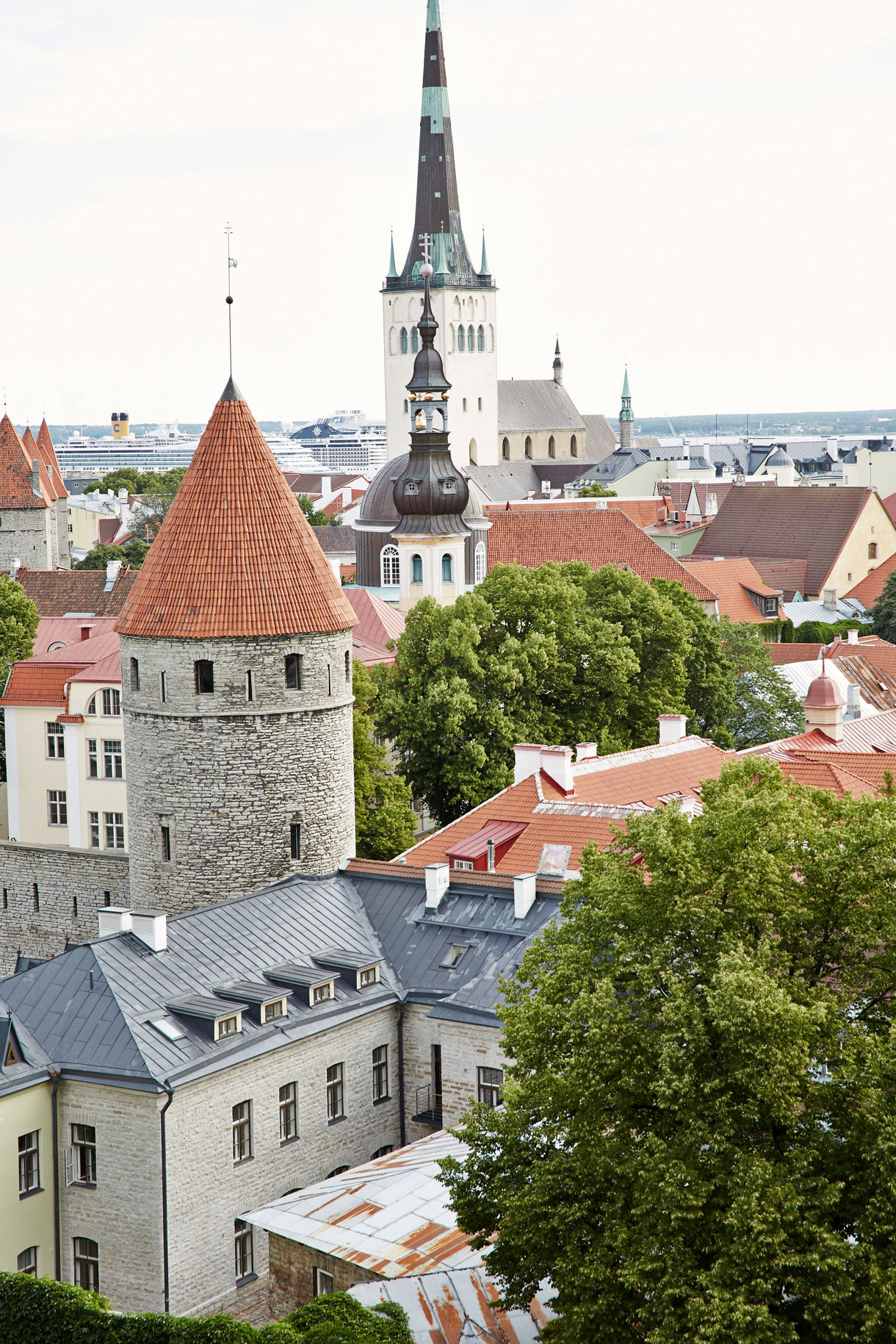 Aerial view of Tallinn’s Old Town in Estonia, featuring a picturesque cityscape with medieval buildings, red-tiled roofs, and historic church spires, all surrounded by lush greenery and a clear blue sky.