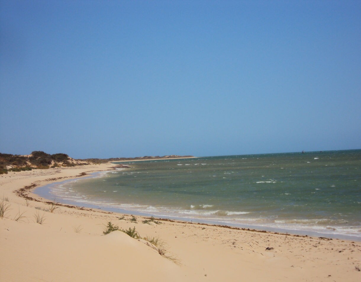 A long, gently curving beach with pale sand and shallow green-blue waves under a clear sky, bordered by low dunes and sparse shrubs.