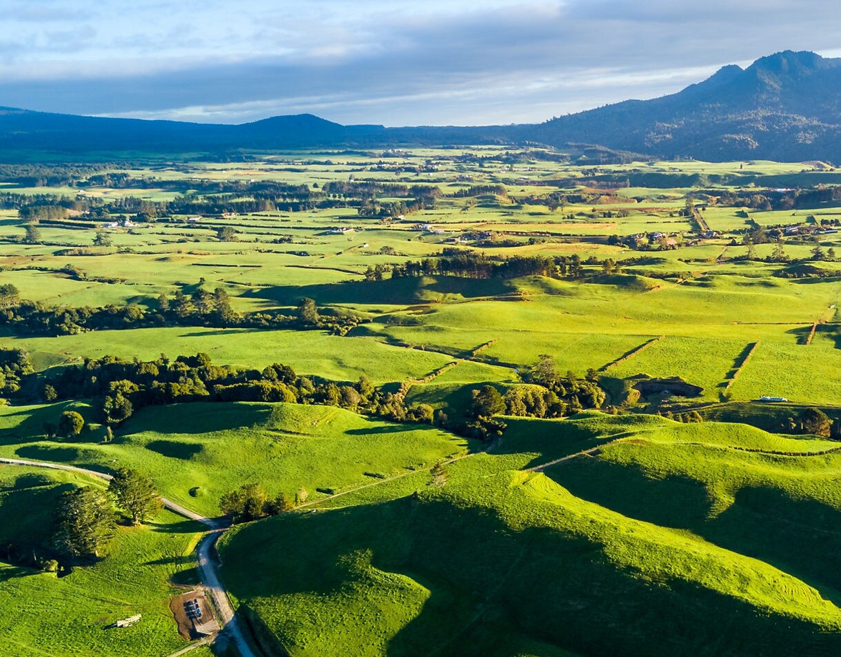 Aerial view of bright green farmland with gently rolling hills, scattered trees and farm roads, backed by forested mountains in New Zealand.