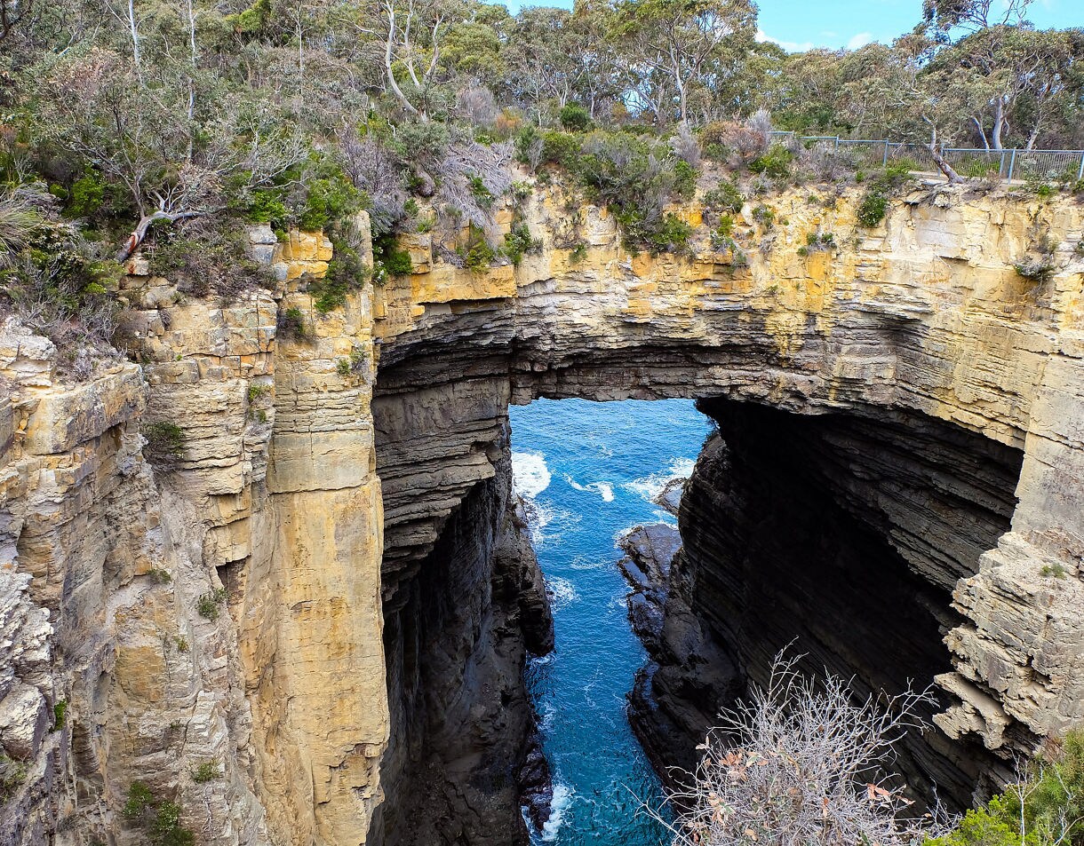 A natural stone arch formed in tall coastal cliffs, with ocean waves crashing through the opening below and dense greenery growing around the rocky edges.