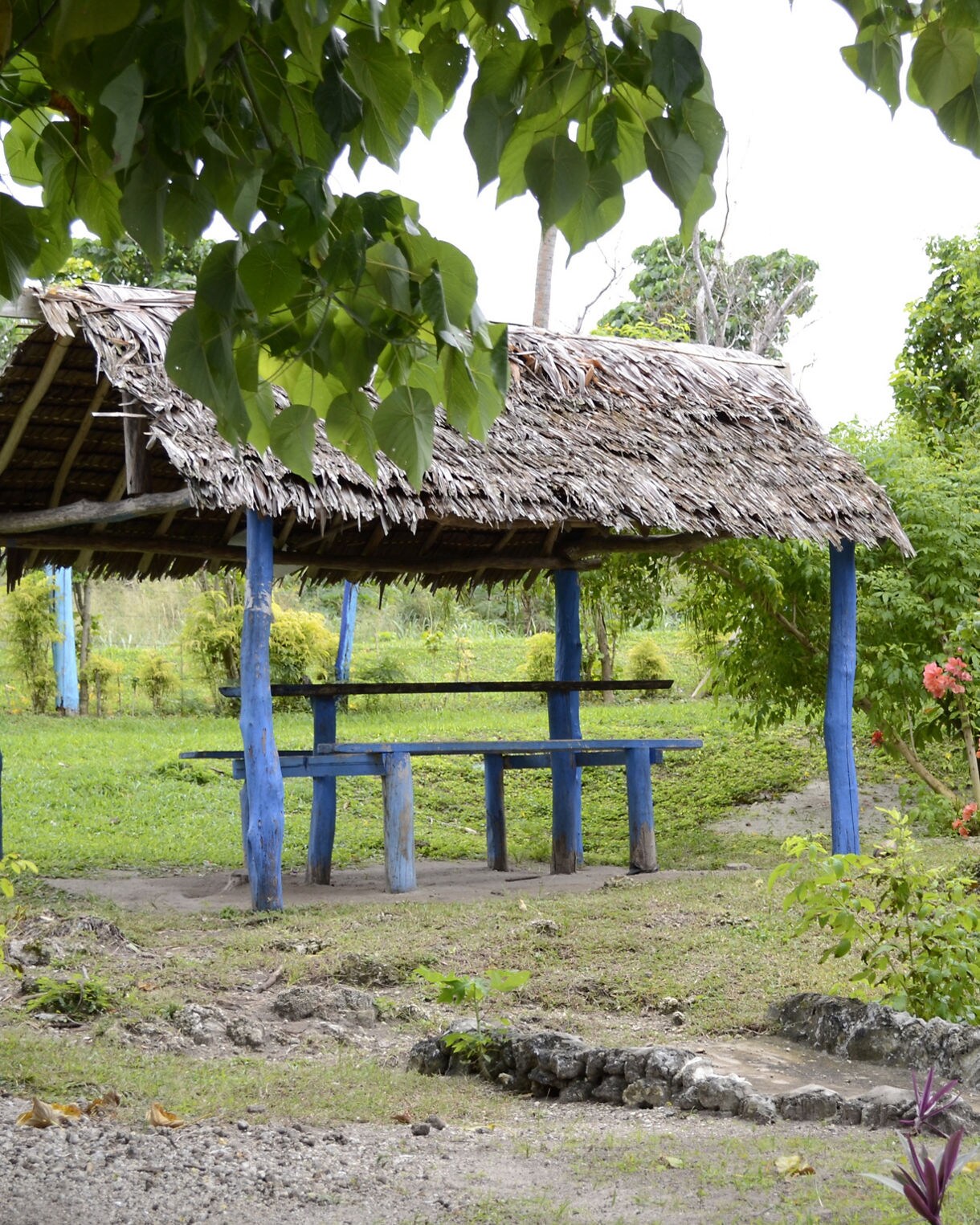  A small thatched-roof hut with bright blue wooden posts stands in a leafy garden surrounded by green foliage and pink flowering bushes.