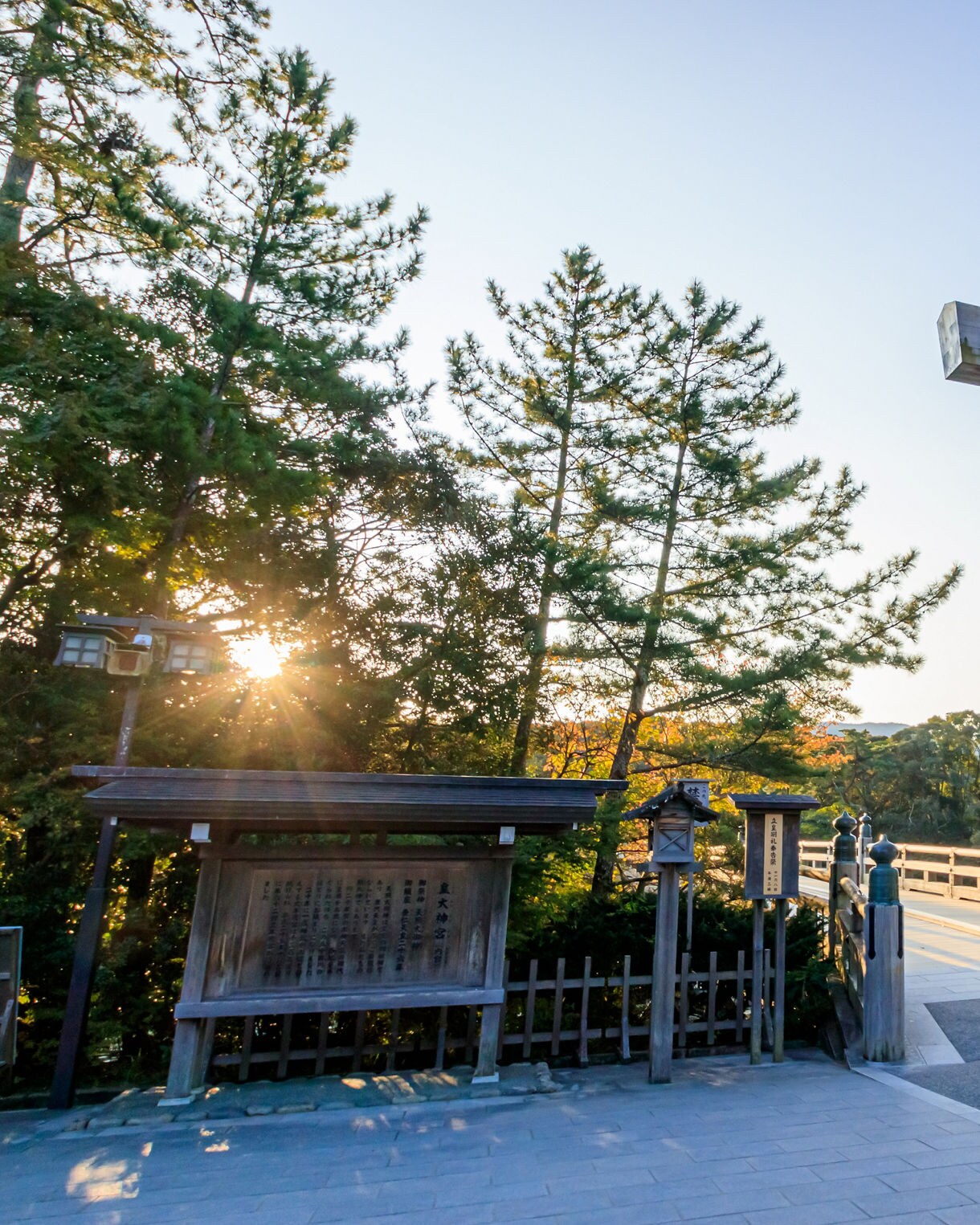 Large wooden torii gate at the entrance to Ise Shrine, with sunlight filtering through pine trees and a stone walkway leading into the forest.