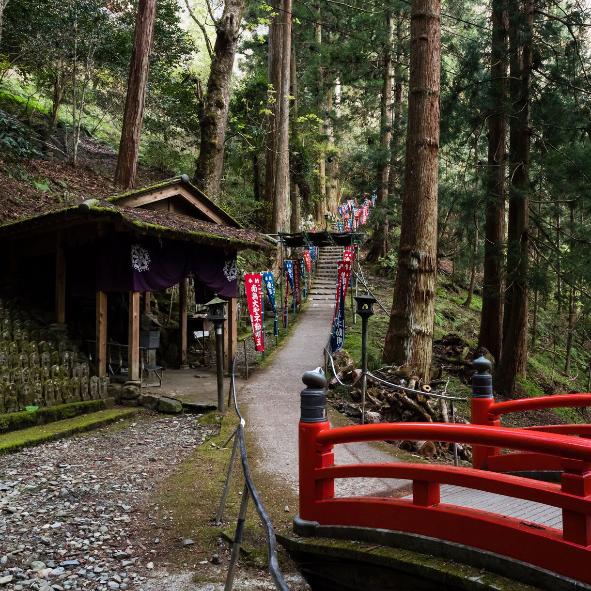 Forest path with red bridge, shrine banners and mossy temple structures in Tokushima.