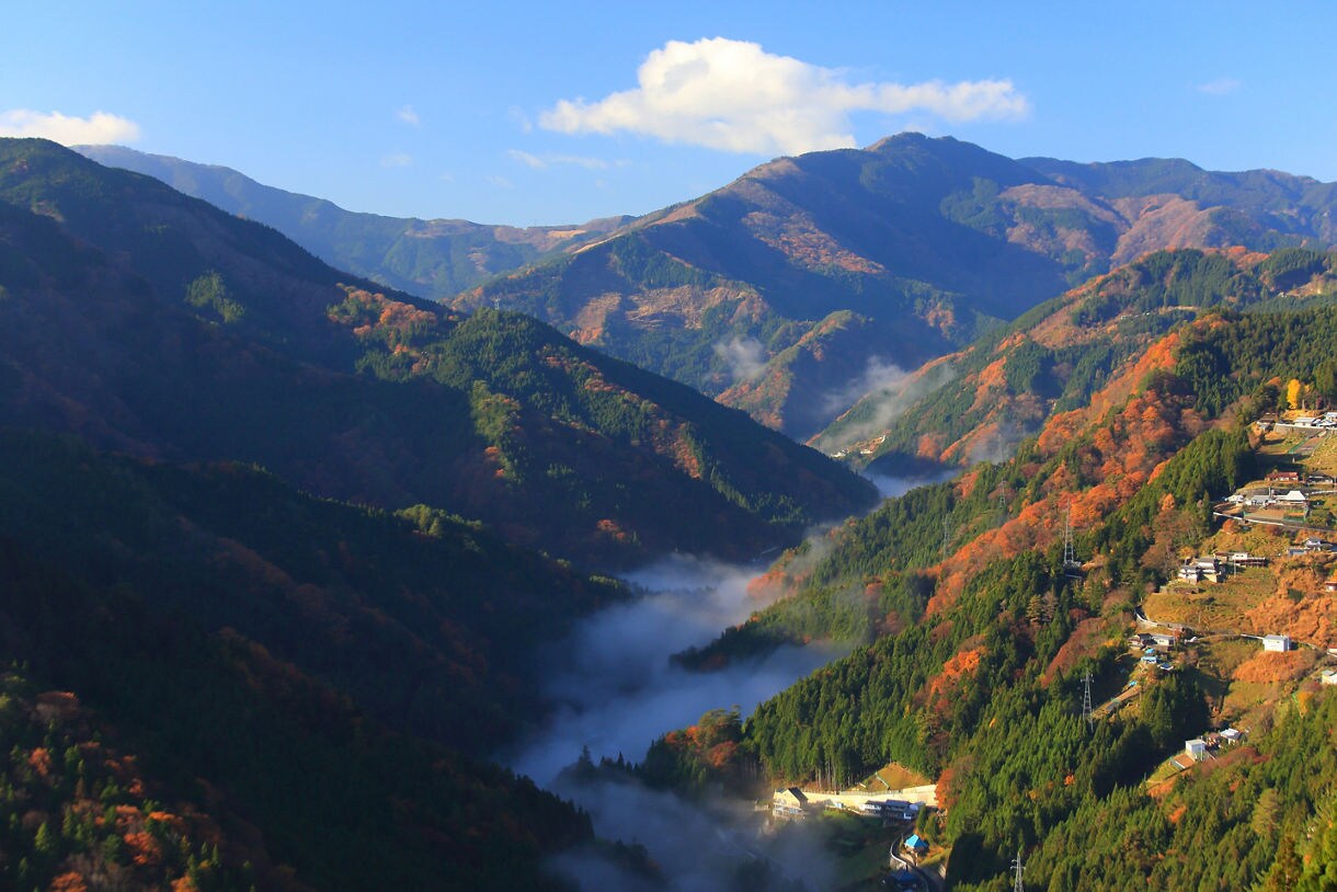 Mountain valley in Tokushima with autumn foliage and low-hanging mist between forested hills.