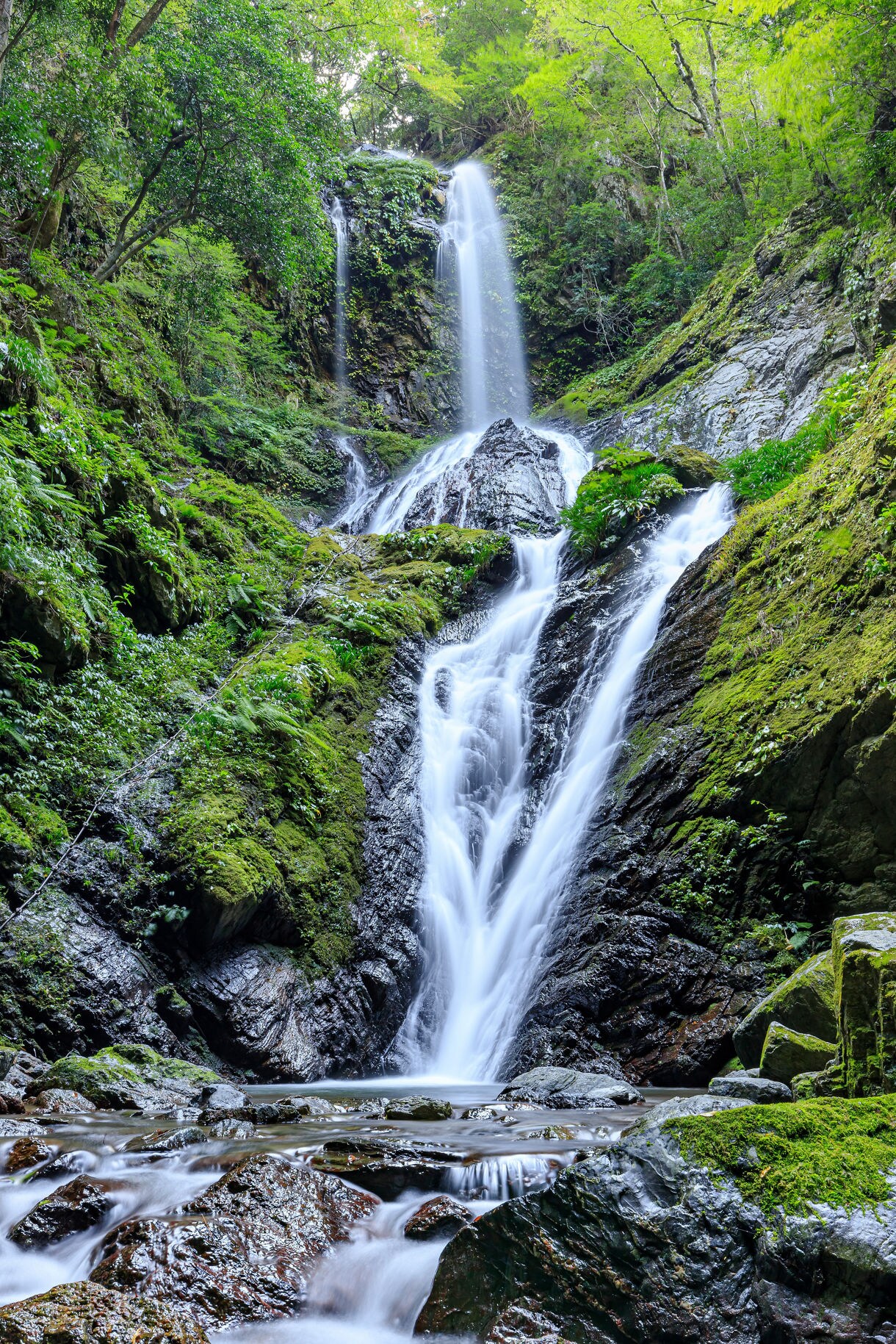 Tall waterfall flowing through moss-covered rocks and dense green forest.