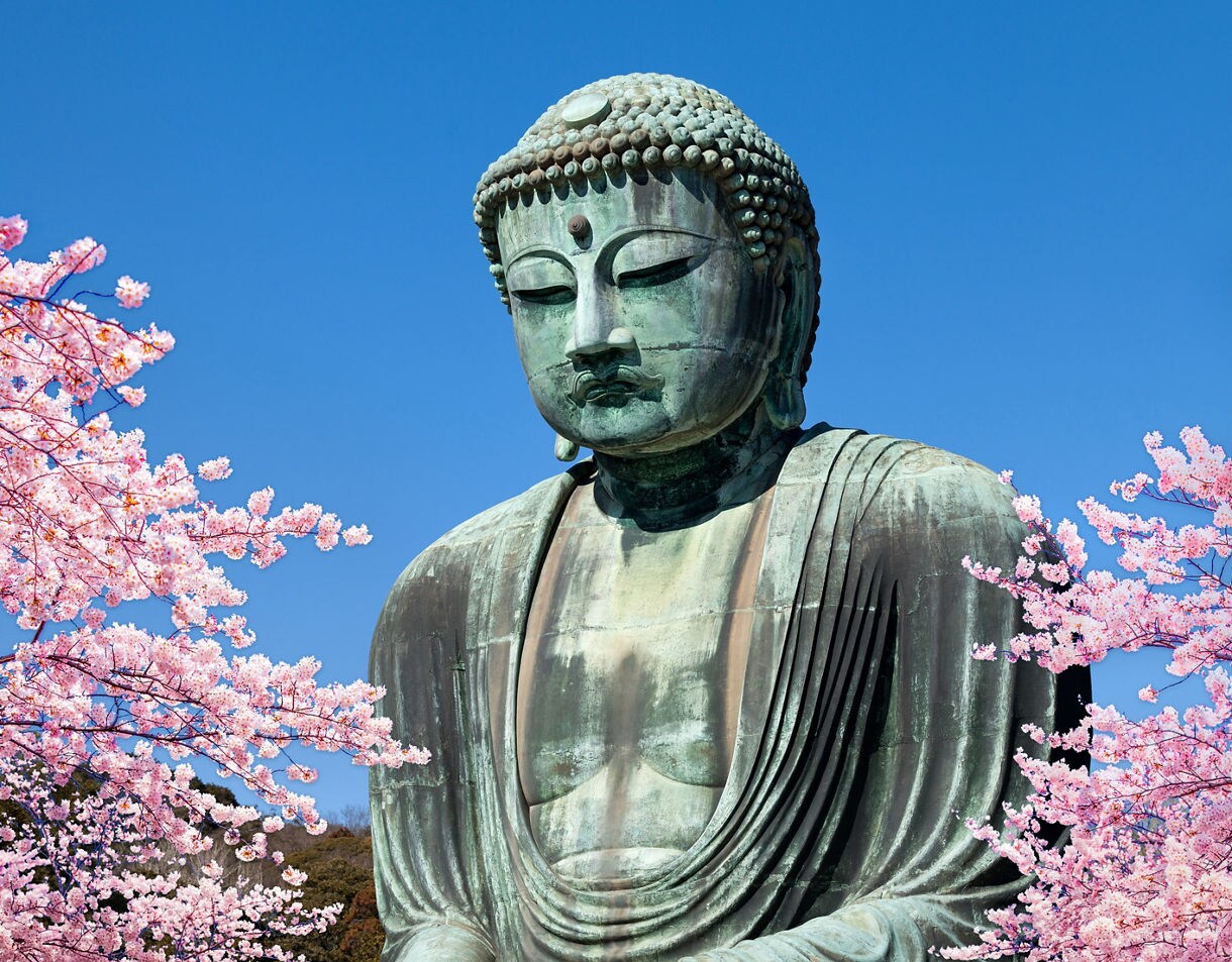 A large bronze Buddha statue surrounded by bright pink cherry blossoms under a clear blue sky.
