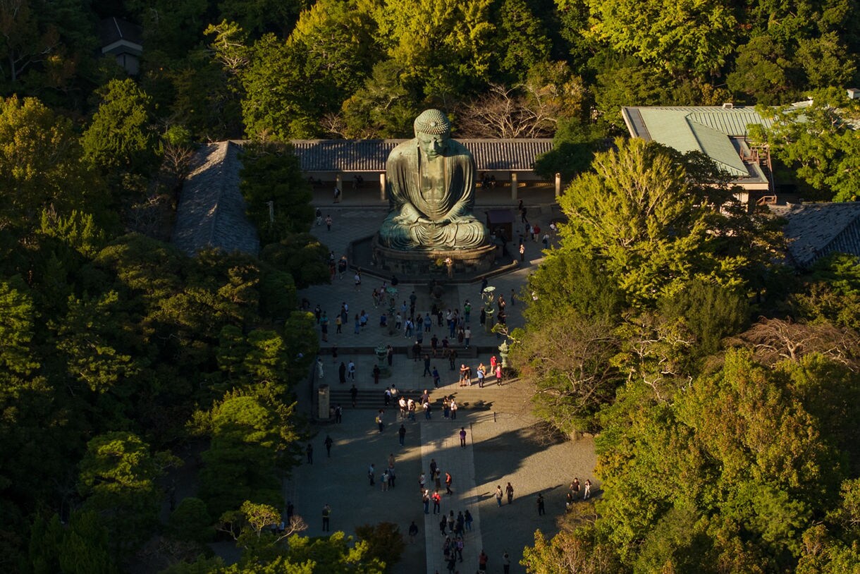 Aerial view of the Great Buddha (Daibutsu) at Kōtoku-in Temple in Kamakura, Japan, surrounded by lush trees and traditional temple buildings.