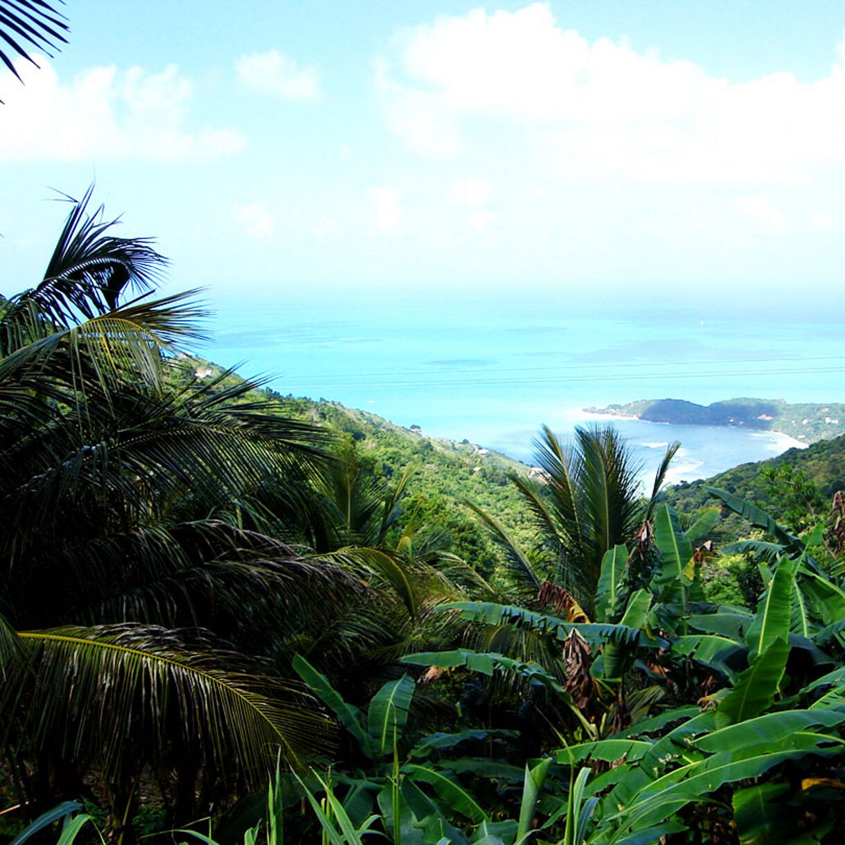 Overlooking the vibrant greenery of Tortola’s hills and coastline, with the ocean stretching into the horizon, providing a serene and breathtaking island view.