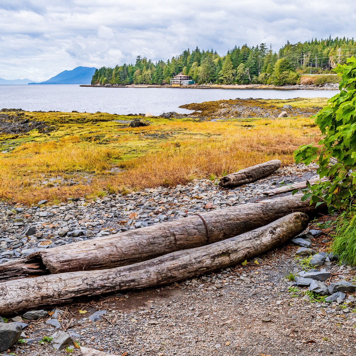 A peaceful view of Totem Bight State Park with logs on the shore, rocky coastline and a forested backdrop leading to the distant waters.