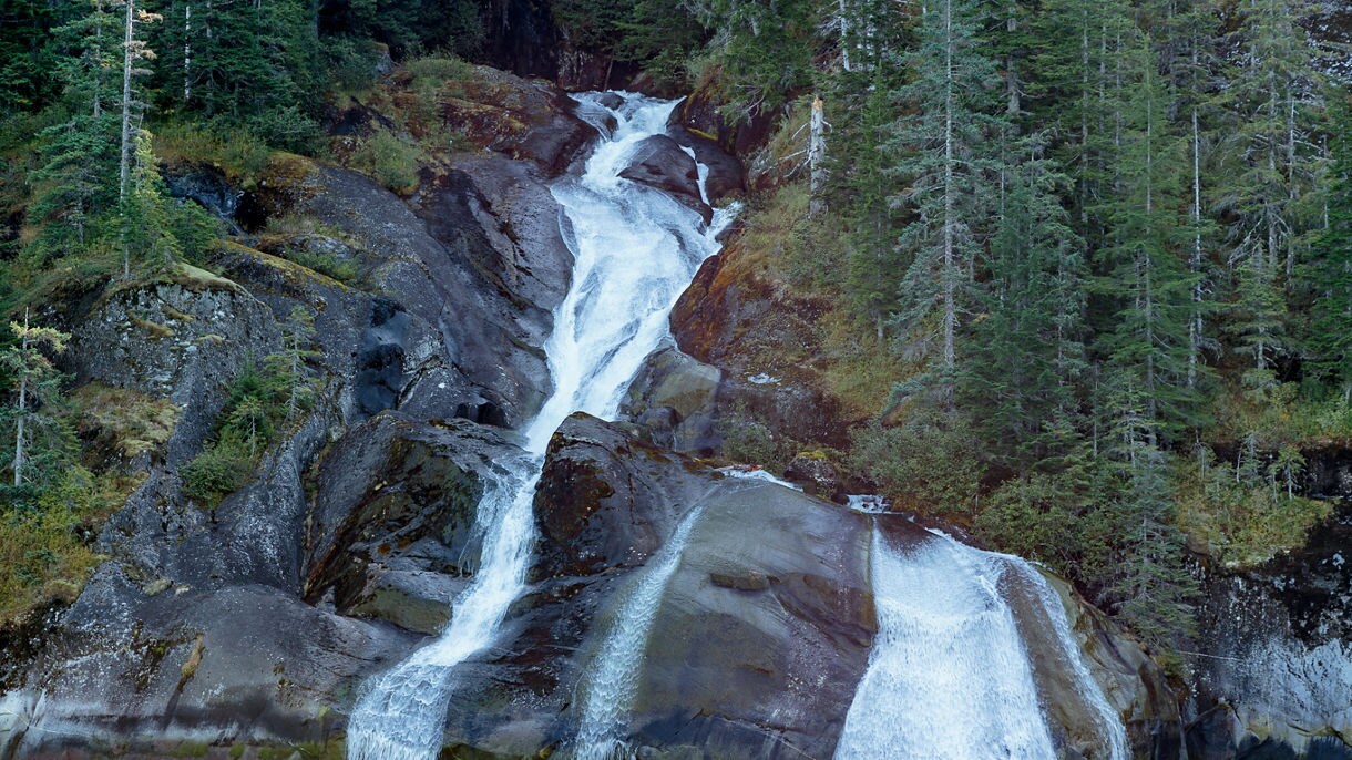 Multi-level waterfall flowing down moss-covered rocks through dense green forest into bright turquoise fjord waters in Tracy Arm, Alaska