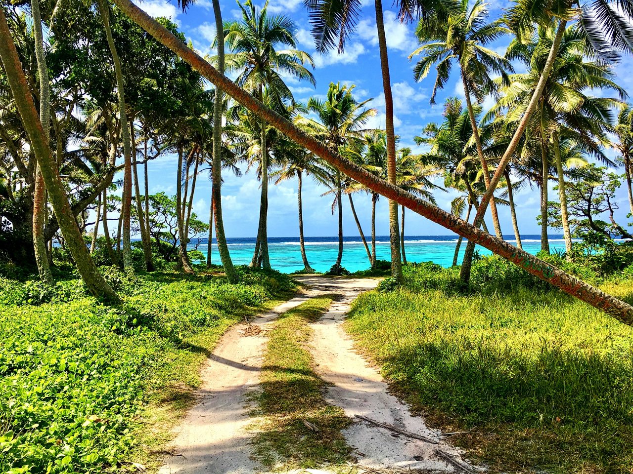 Narrow sandy trail leading through lush greenery and tall palm trees toward bright turquoise ocean waves under a sunny blue sky.