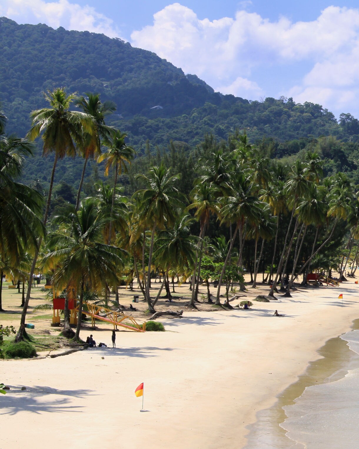 A scenic view of Maracas Bay in Trinidad, featuring a crescent-shaped beach lined with tall palm trees, turquoise waters gently lapping at the shore and lush green mountains in the background.
