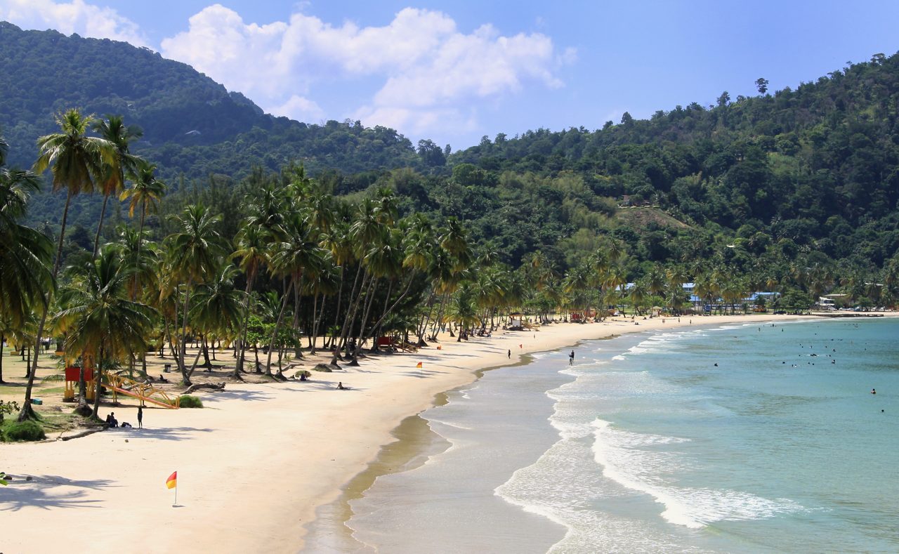 A scenic view of Maracas Bay in Trinidad, featuring a crescent-shaped beach lined with tall palm trees, turquoise waters gently lapping at the shore and lush green mountains in the background.
