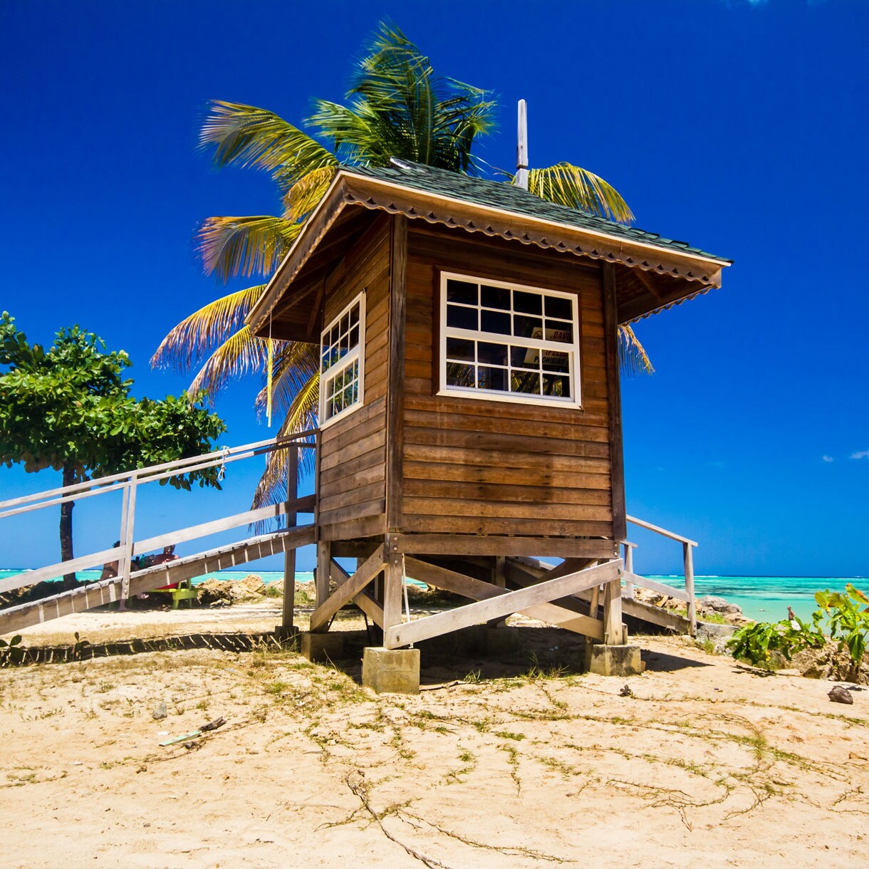 Elevated wooden lifeguard hut with windows and railings on stilts at tropical beach with palm trees and clear blue water.