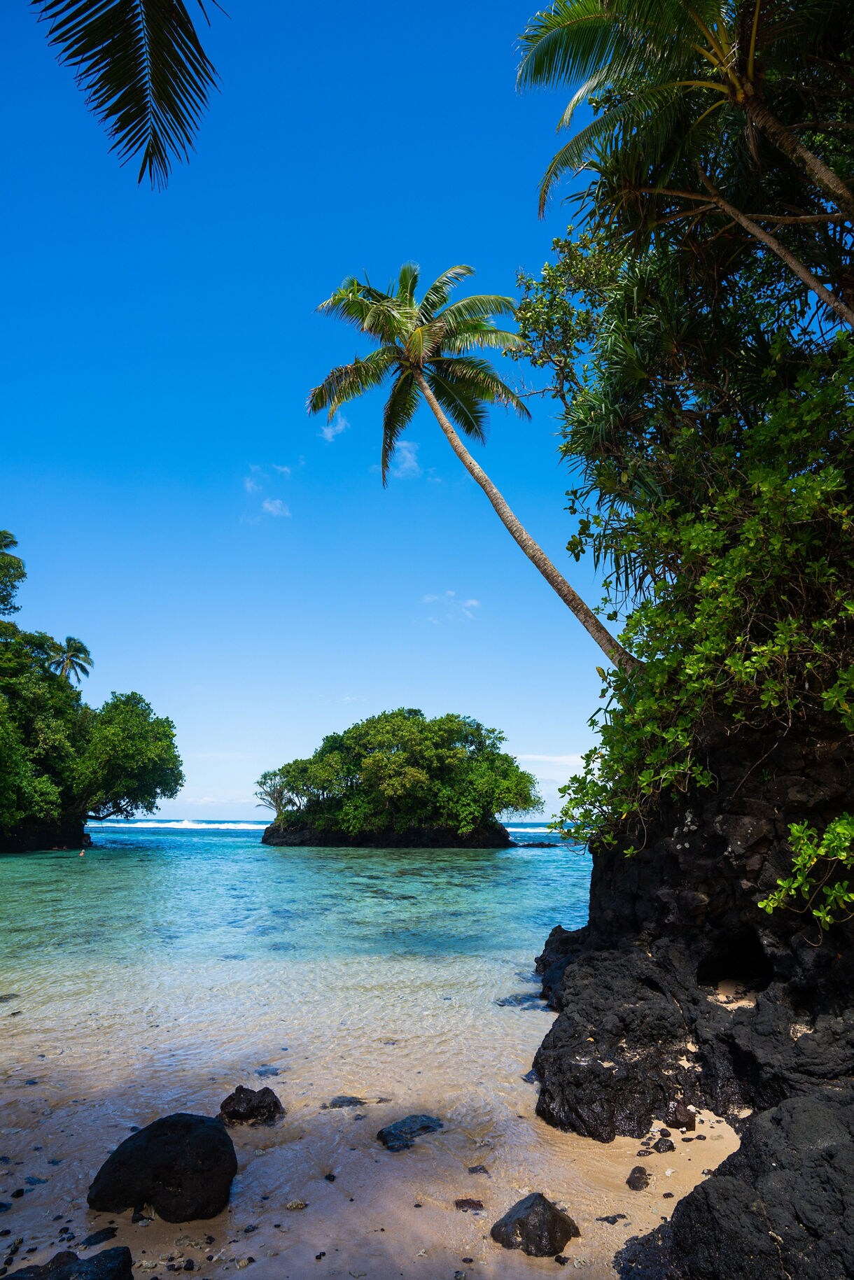 A secluded Samoan beach with leaning palm trees, volcanic rocks and clear turquoise sea surrounding lush islets.