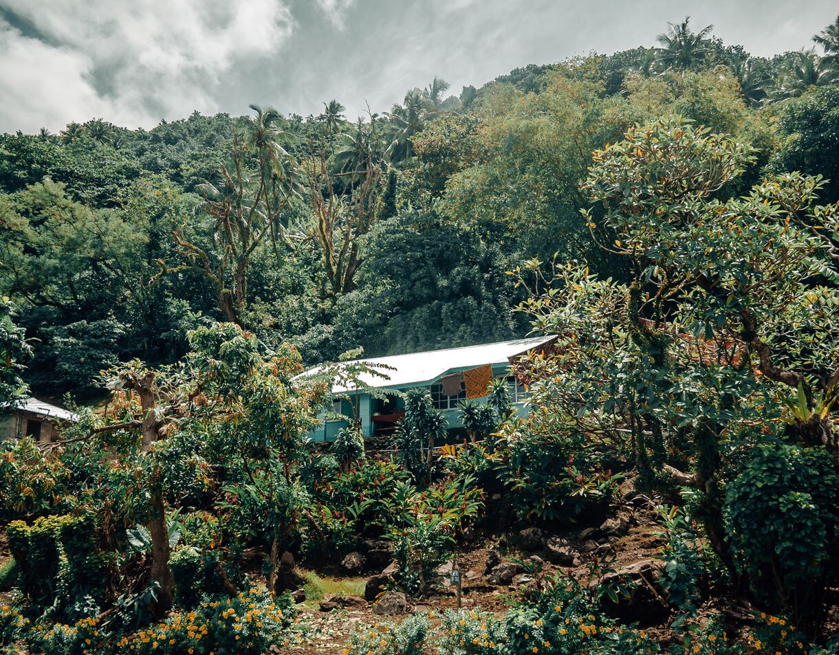 A small house with a tin roof surrounded by lush tropical plants and dense forest vegetation on a hillside.
