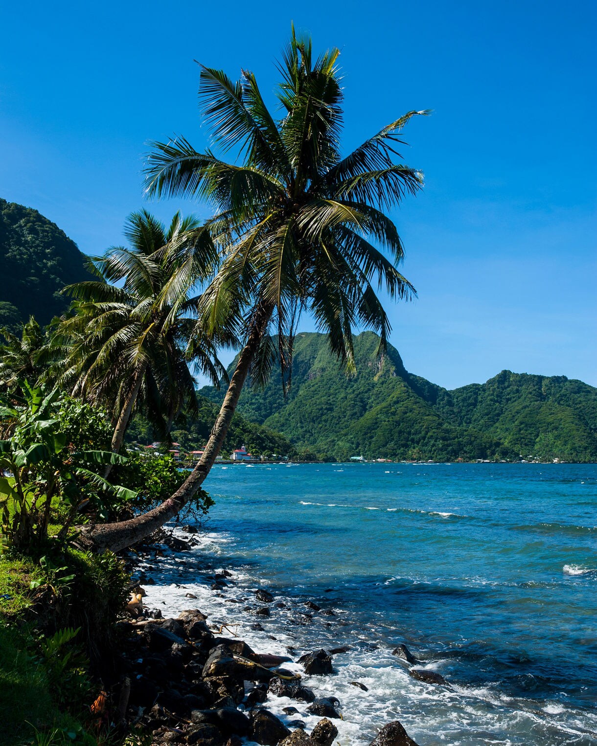 A coastline with leaning palm trees, dark rocks along the shore and vivid blue ocean water backed by steep green mountains under a clear sky.