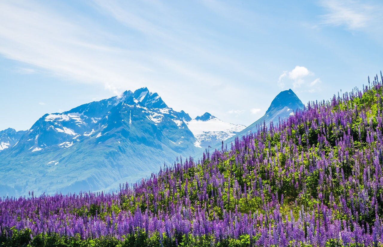 New to Cruising? Tips for First-Time Cruisers