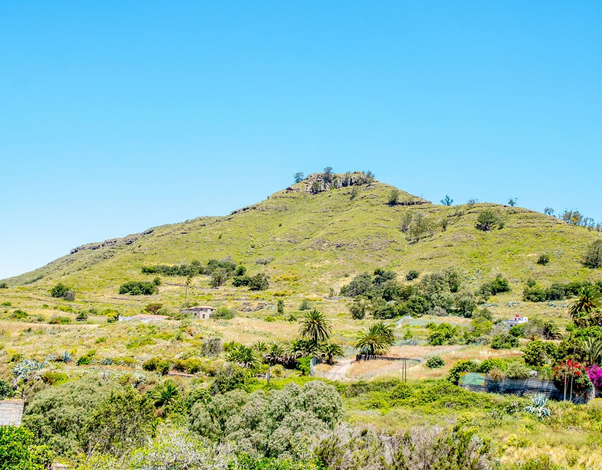 Green valley in Tegueste with scattered houses, palm trees and grassy hills rising beneath a bright blue sky.