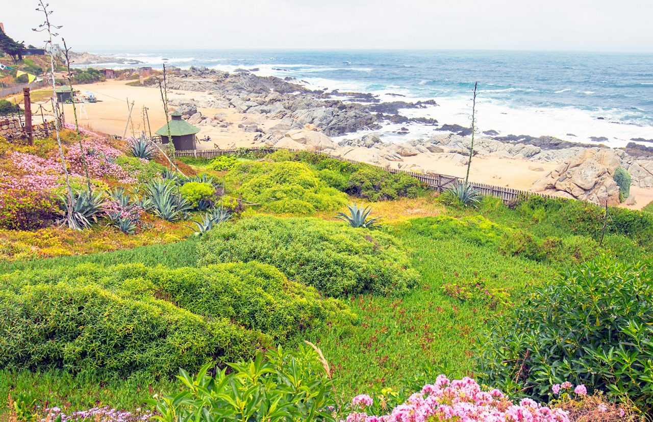 Colorful coastal vegetation and pink flowers blanket a hillside above a rocky beach with rolling waves and scattered shoreline cabins.