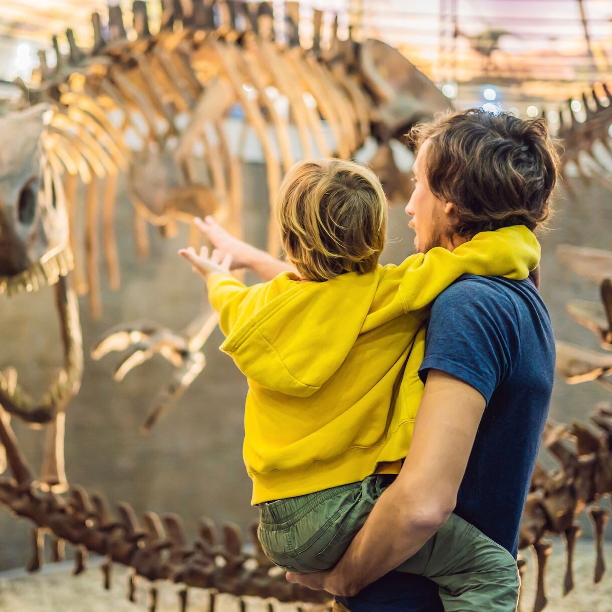 Dad and boy watching dinosaur skeleton in museum