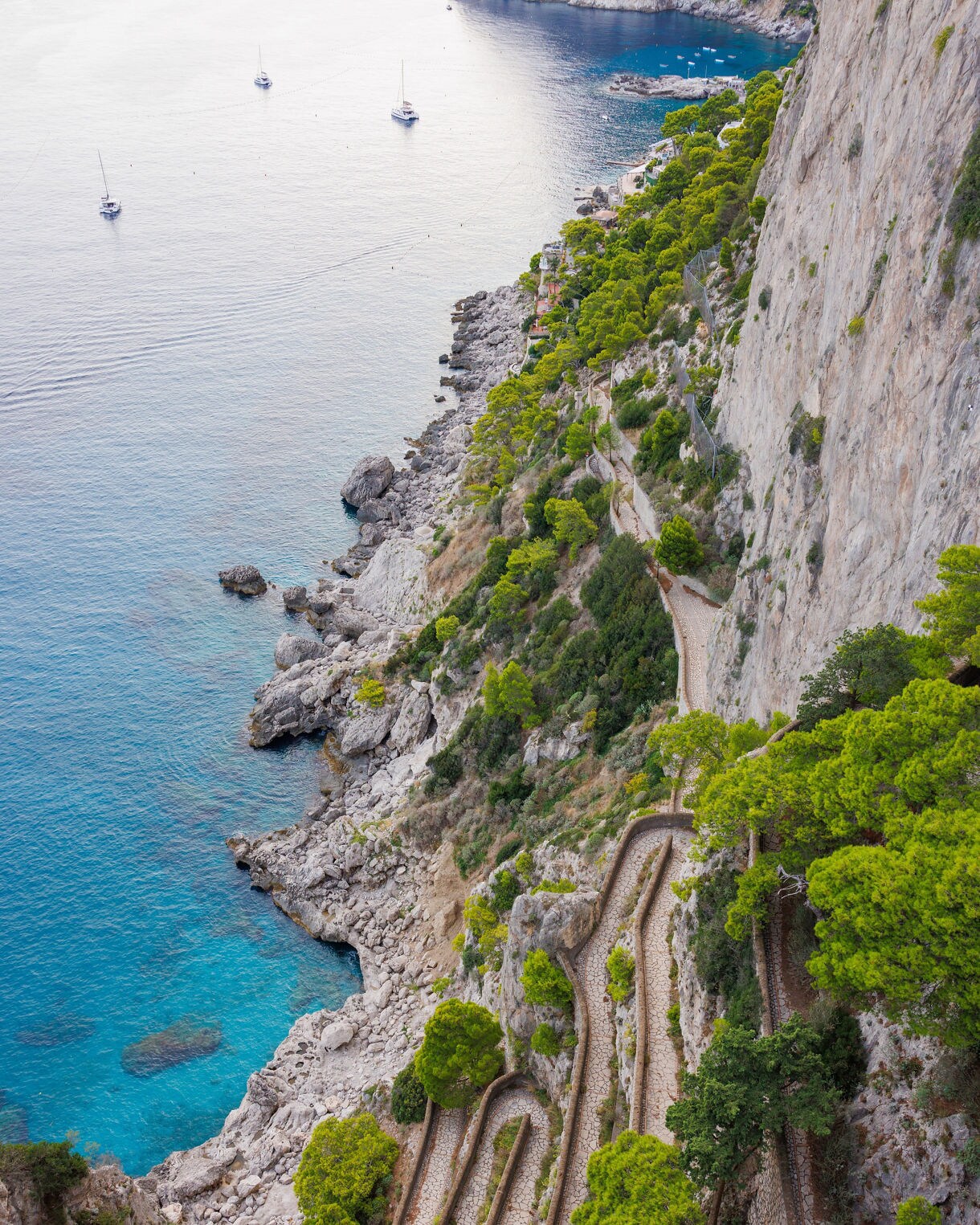 A steep, zigzagging stone pathway along a cliffside on Capri, bordered by green trees above clear blue water and rocky coastline below.