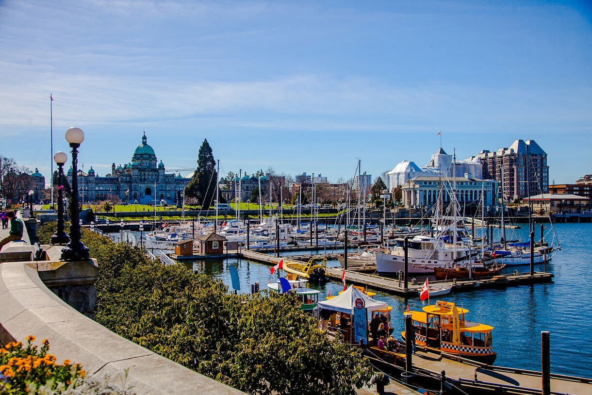 A vibrant view of the Victoria, British Columbia harbor with sailboats docked, colorful flags and the iconic British Columbia Legislature building in the background under clear skies.