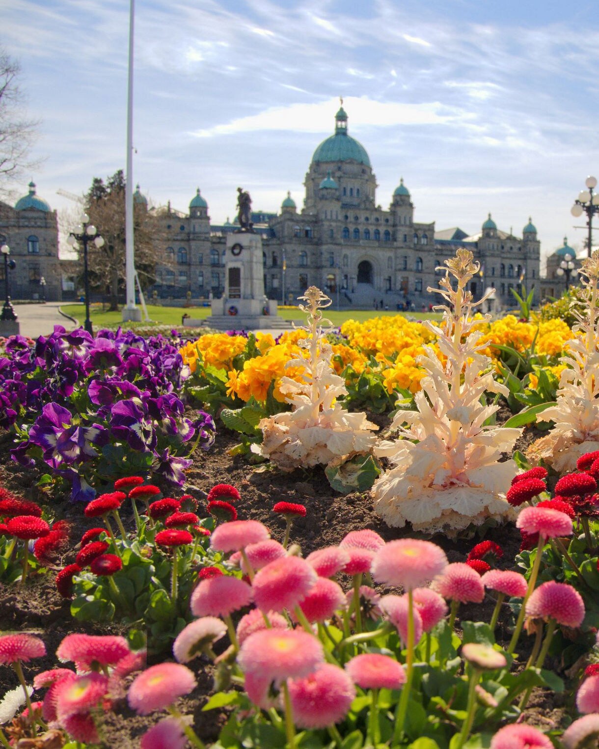 Bright orange, purple, pink and red flowers in a garden bed with Victoria's Parliament Buildings featuring green copper domes visible in the background