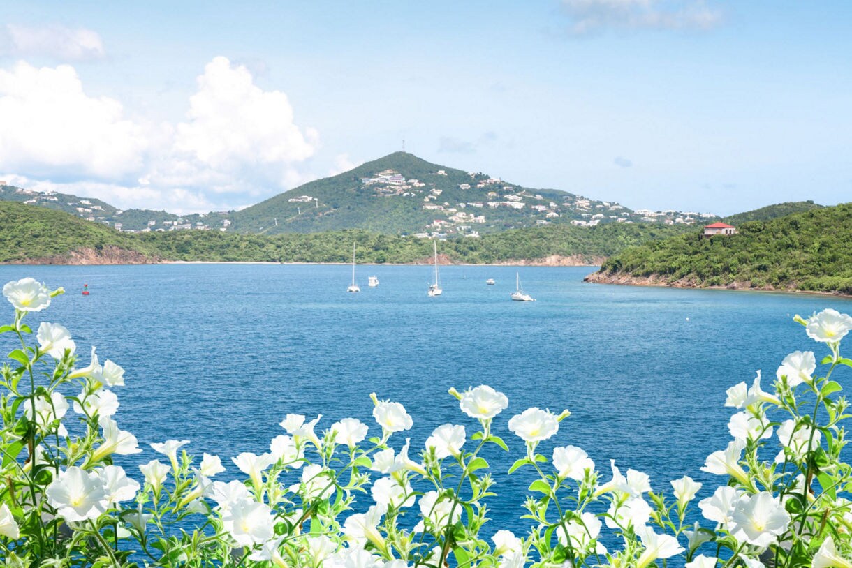 Amazing Mountain Views & Villa Botanica