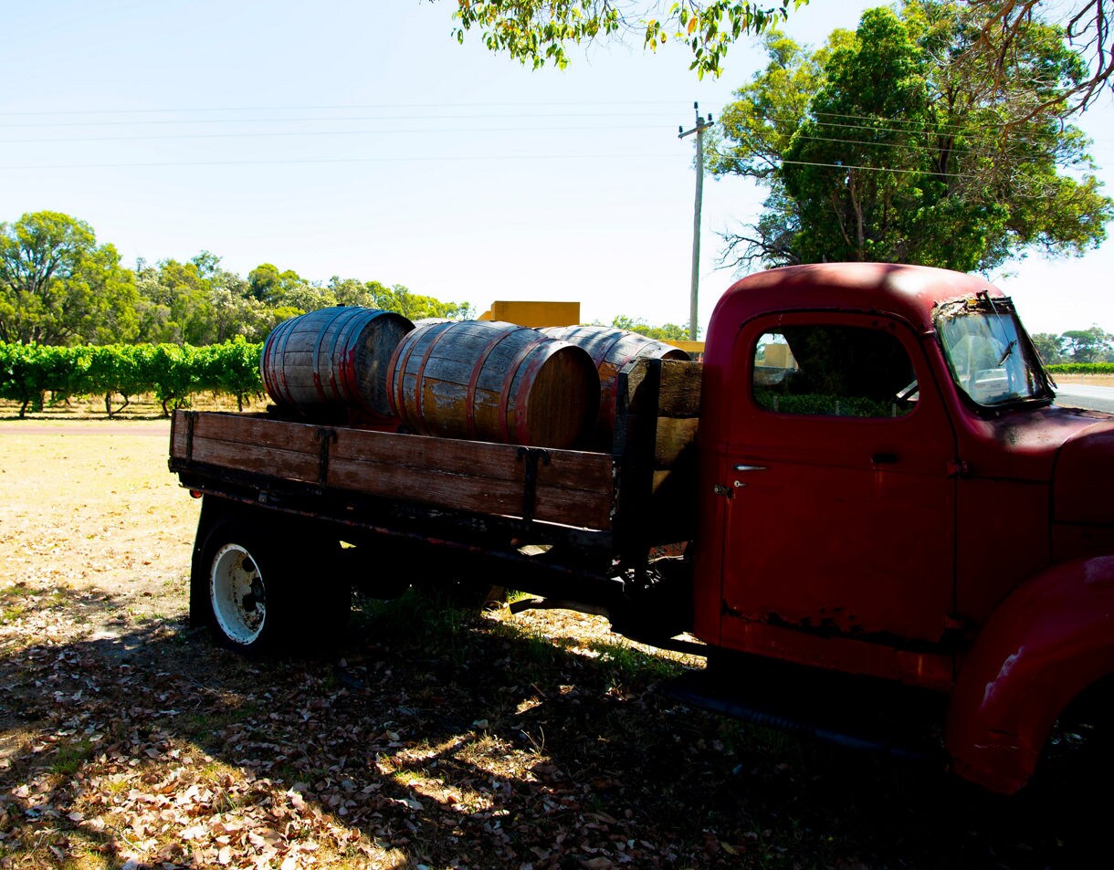 Old red farm truck carrying wooden wine barrels parked near a vineyard, with green grapevines and trees in the background.