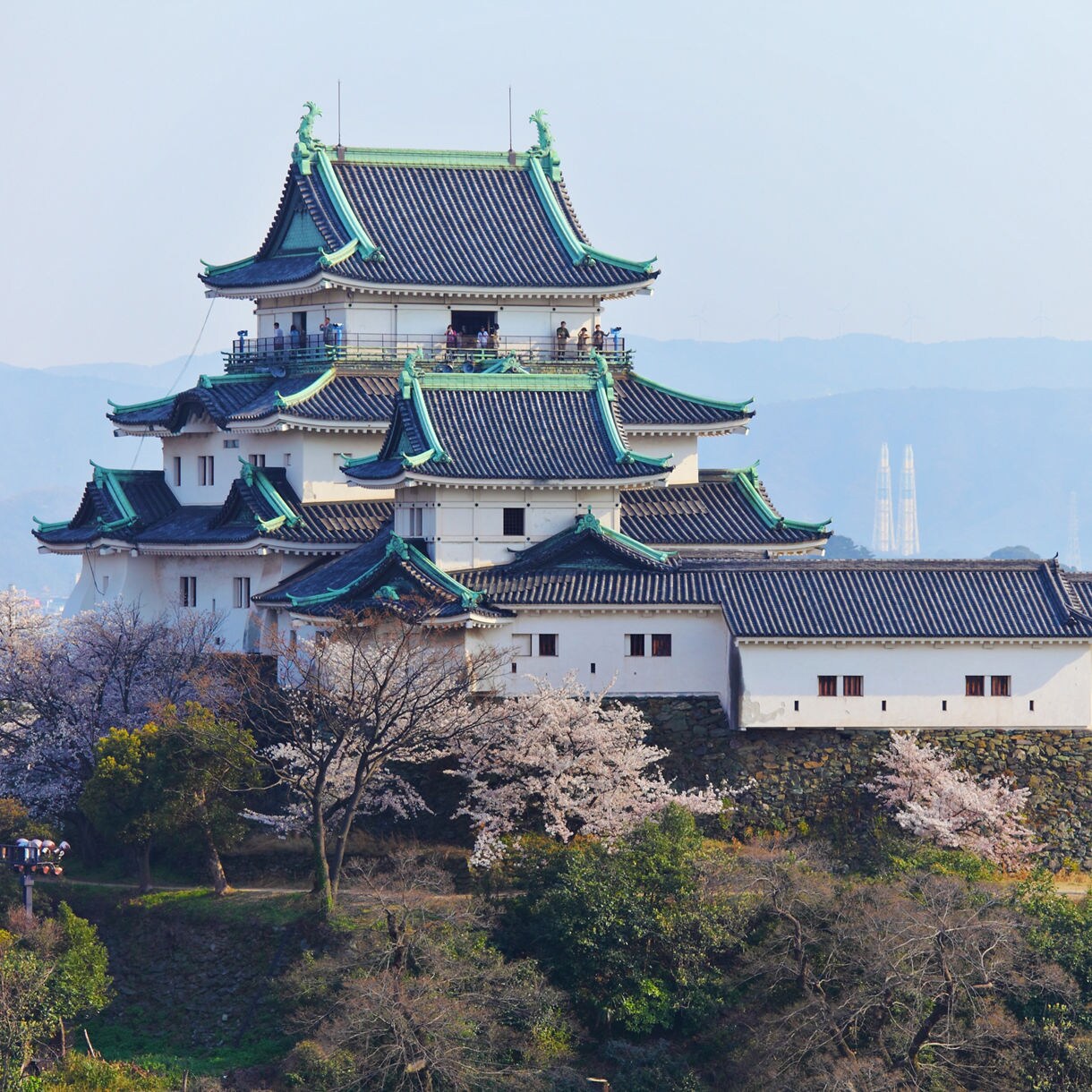 Traditional Japanese castle with white walls and green-tiled roofs surrounded by cherry blossoms in Wakayama