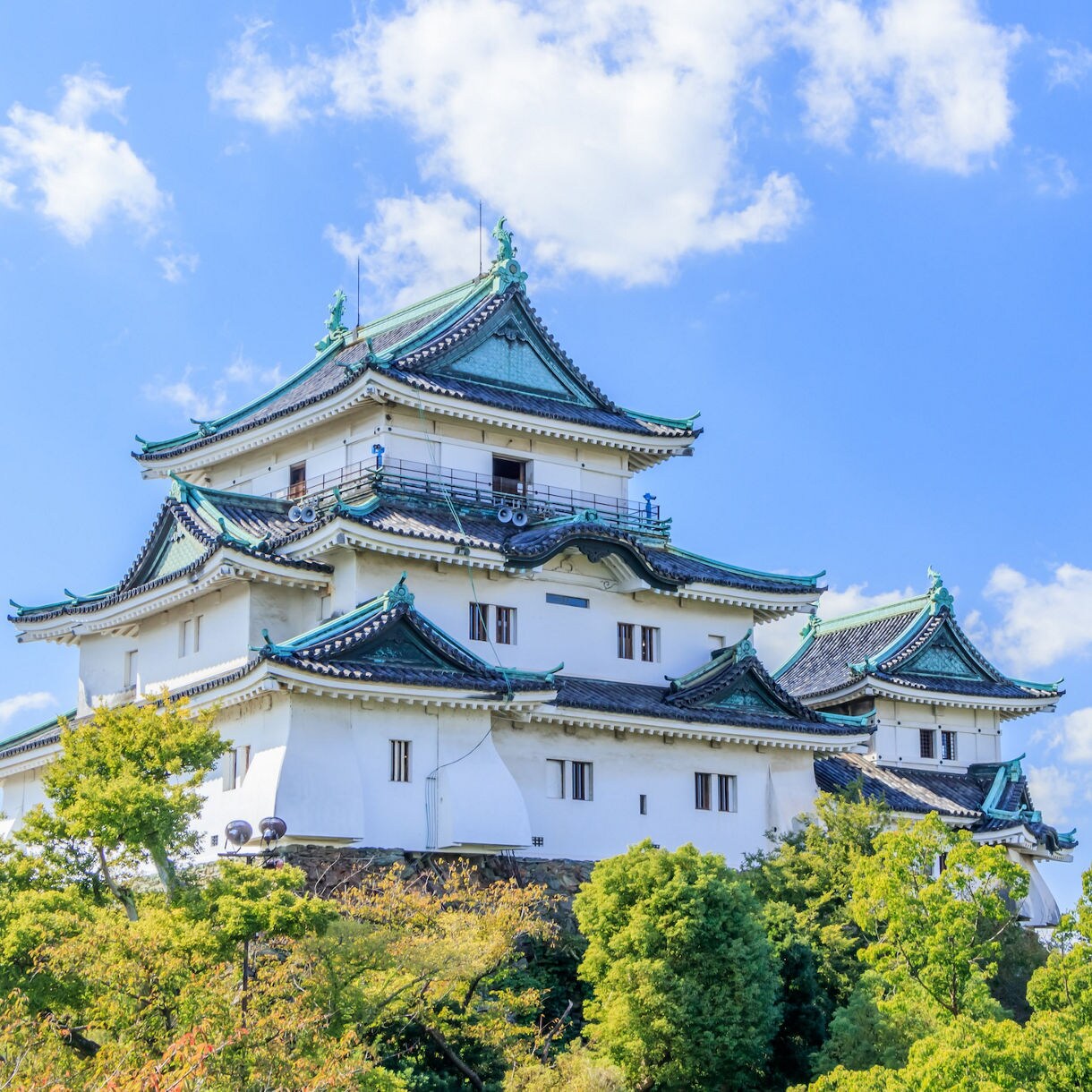 Wakayama Castle & Kada