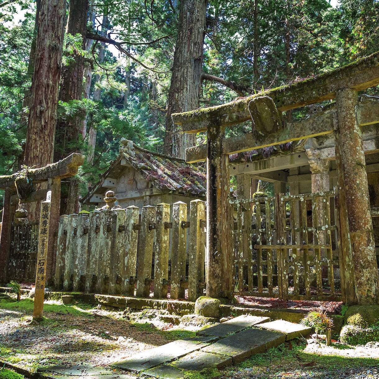 Mt. Koya and Buddhist Cuisine
