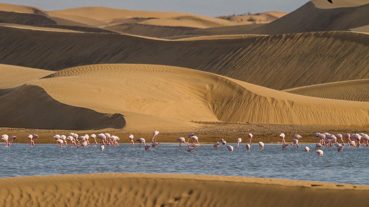 Walvis Bay, Namibia