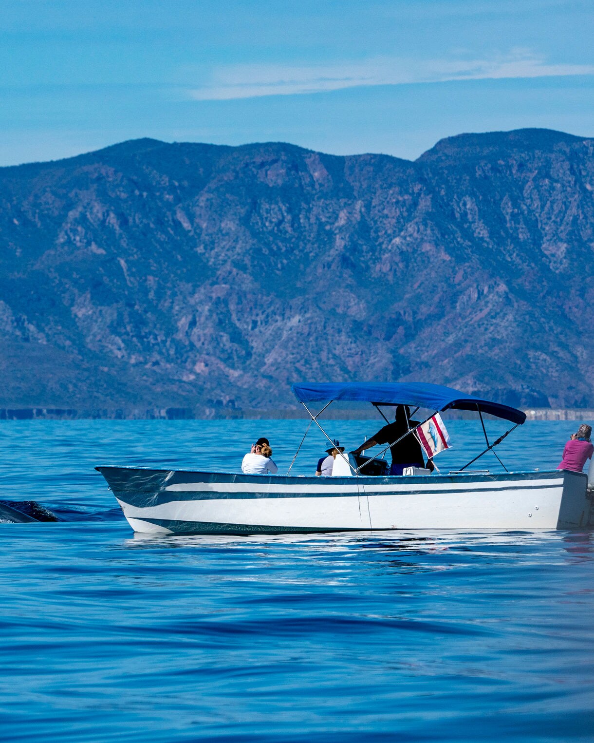 Tourists on a small boat whale watching in Baja California, with a large whale surfacing near the vessel against a mountain backdrop.