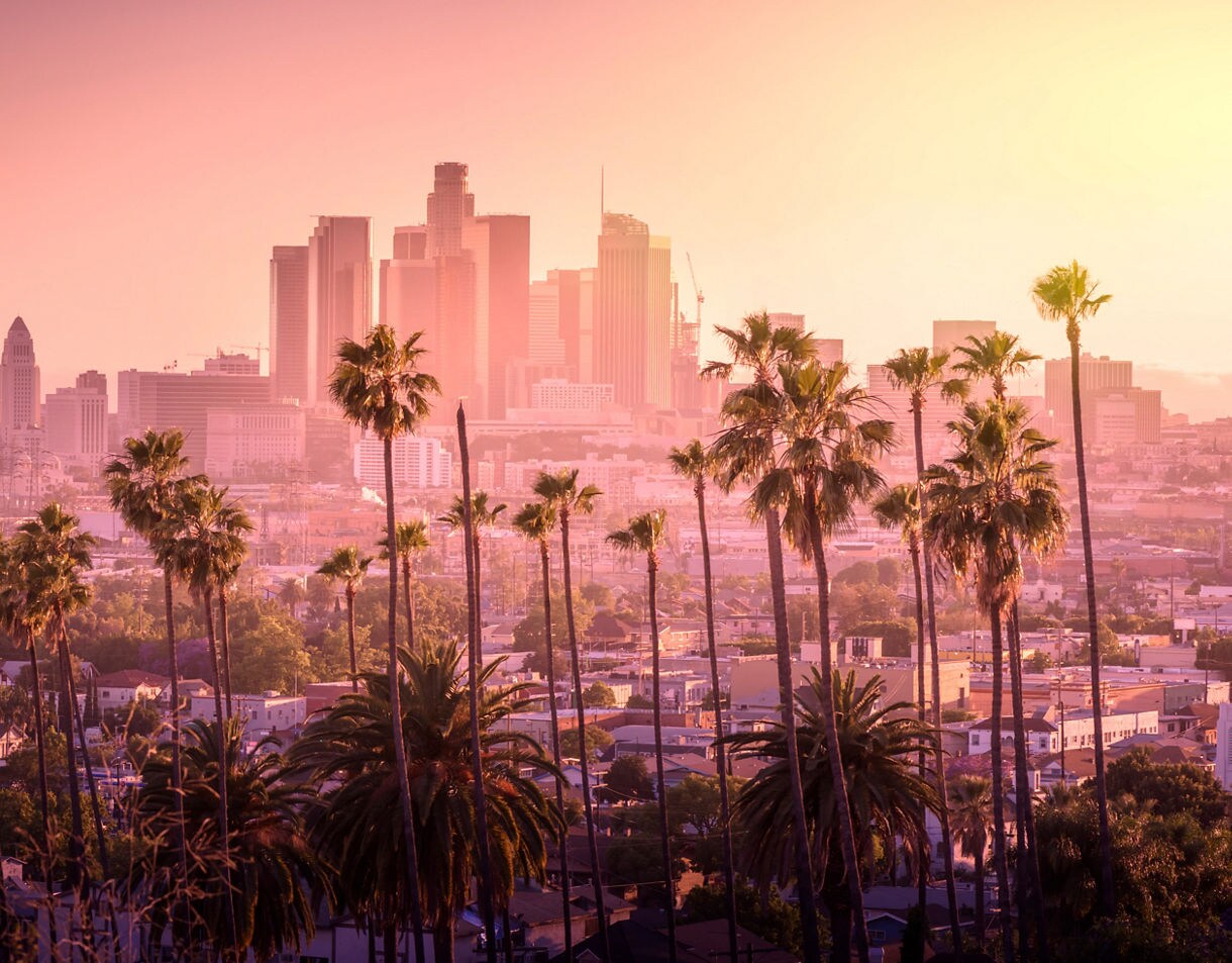 Beautiful sunset of Los Angeles downtown skyline and palm trees in foreground.