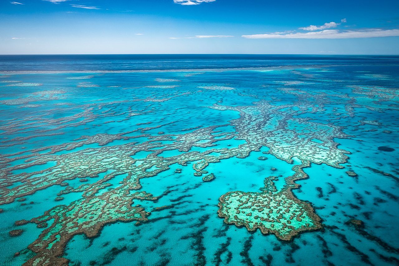 Aerial view of the magical Great Barrier Reef, vibrant blue waters and coral formations.