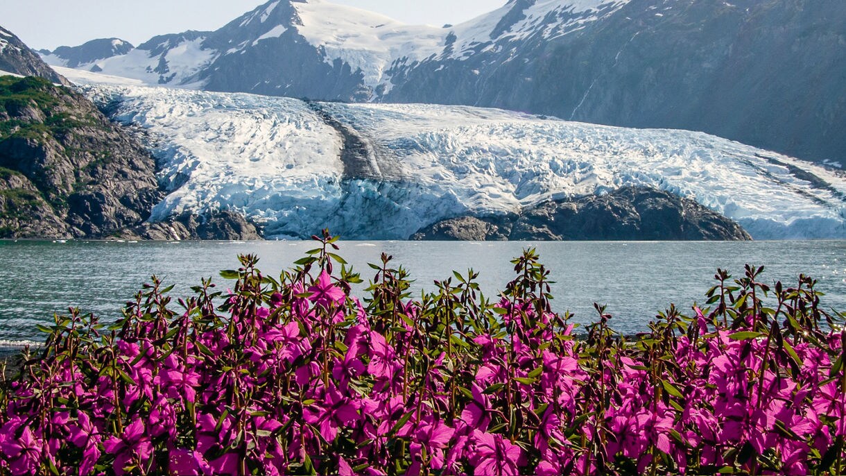 Cruise Tips for Alaska Weather: Month by Month