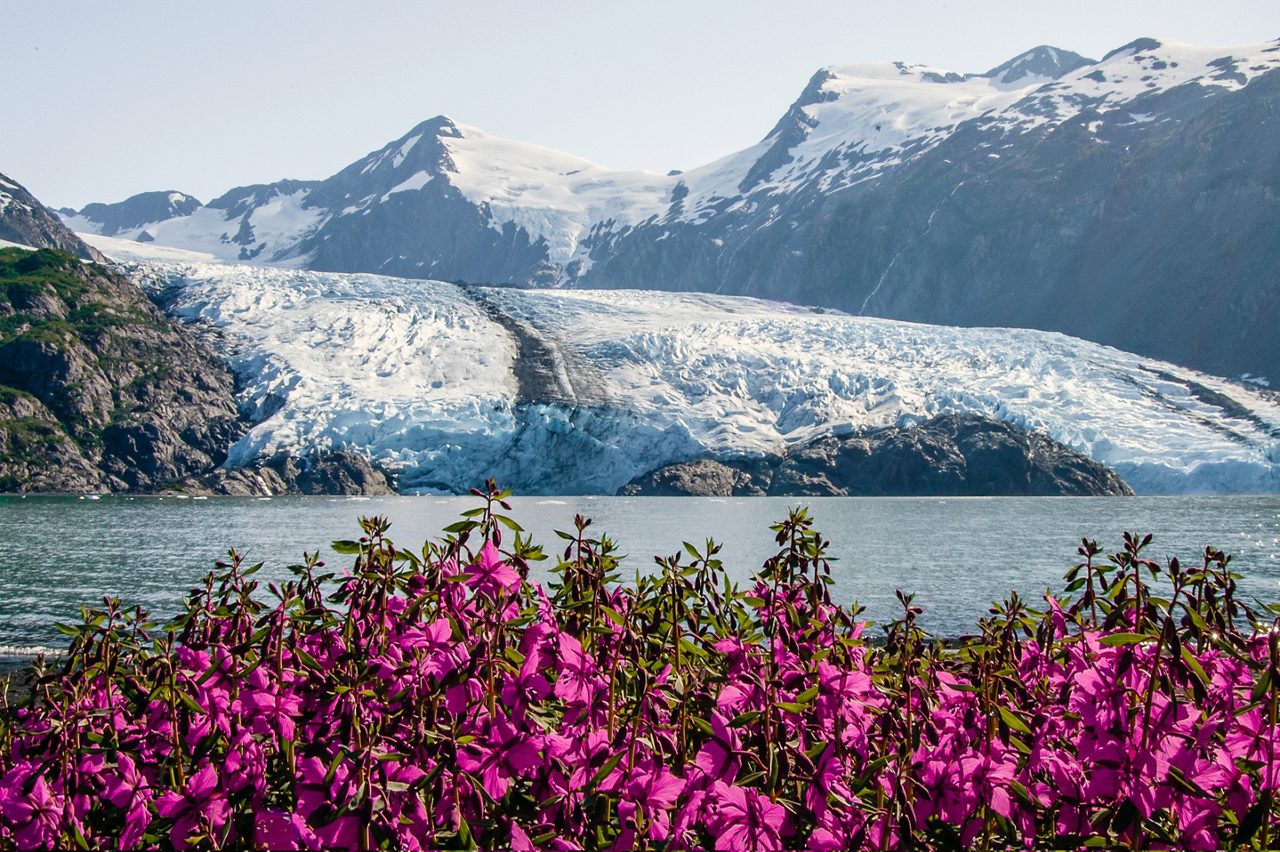 Alaska cruises from Anchorage