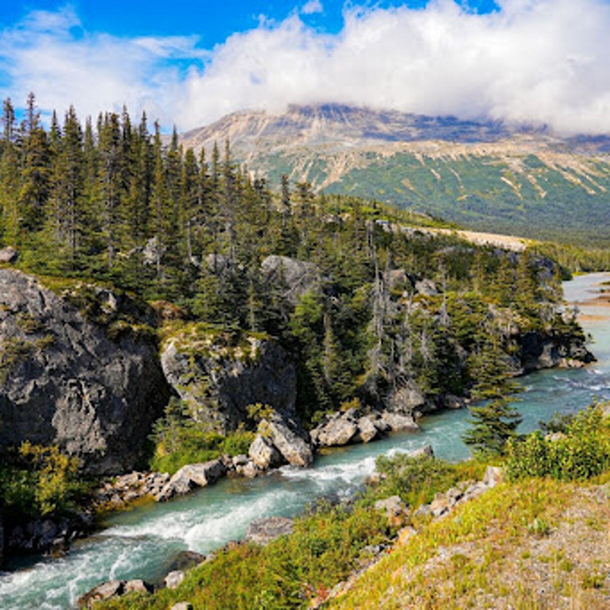 A scenic view of Skagway's wilderness, featuring a flowing river surrounded by dense evergreen trees, rocky terrain and distant mountains.